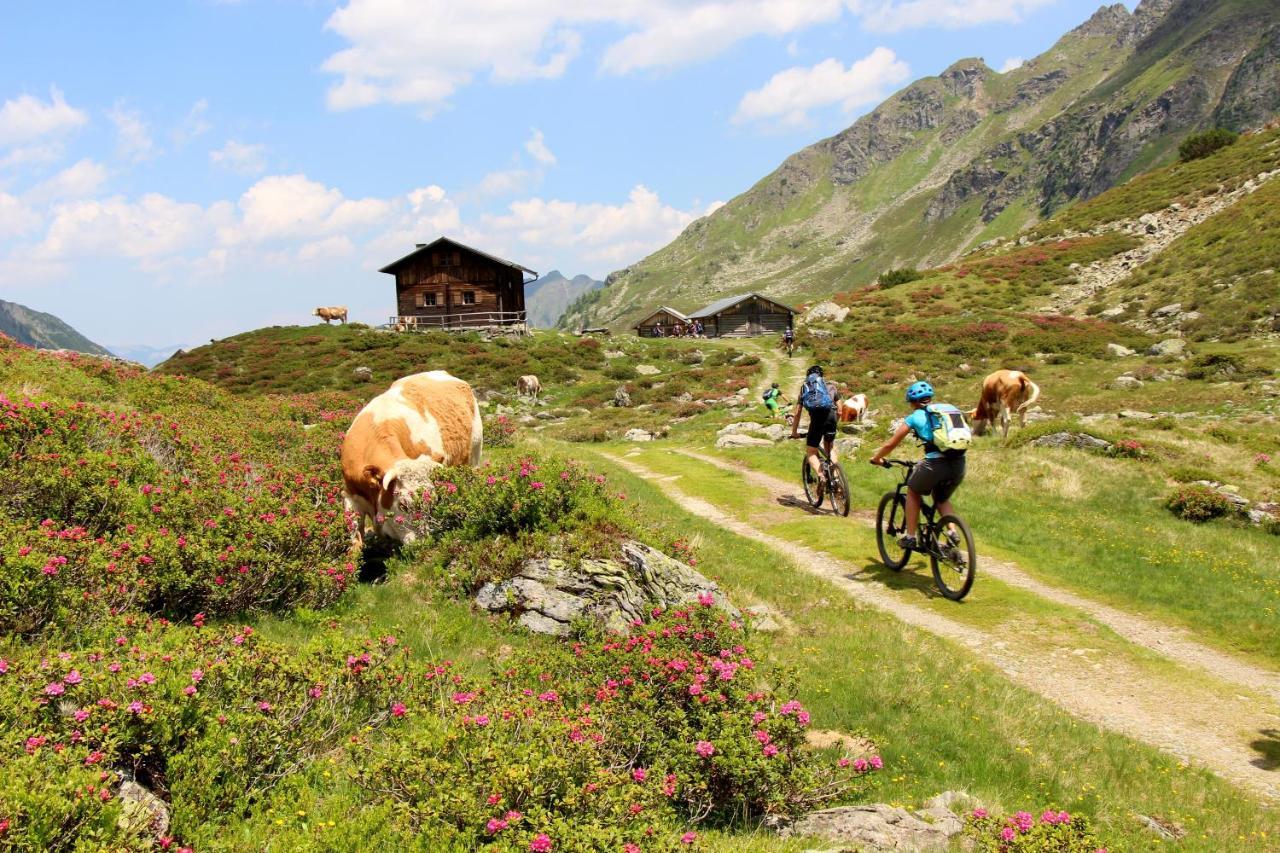 Rohrmooser Schloessl Schladming Buitenkant foto