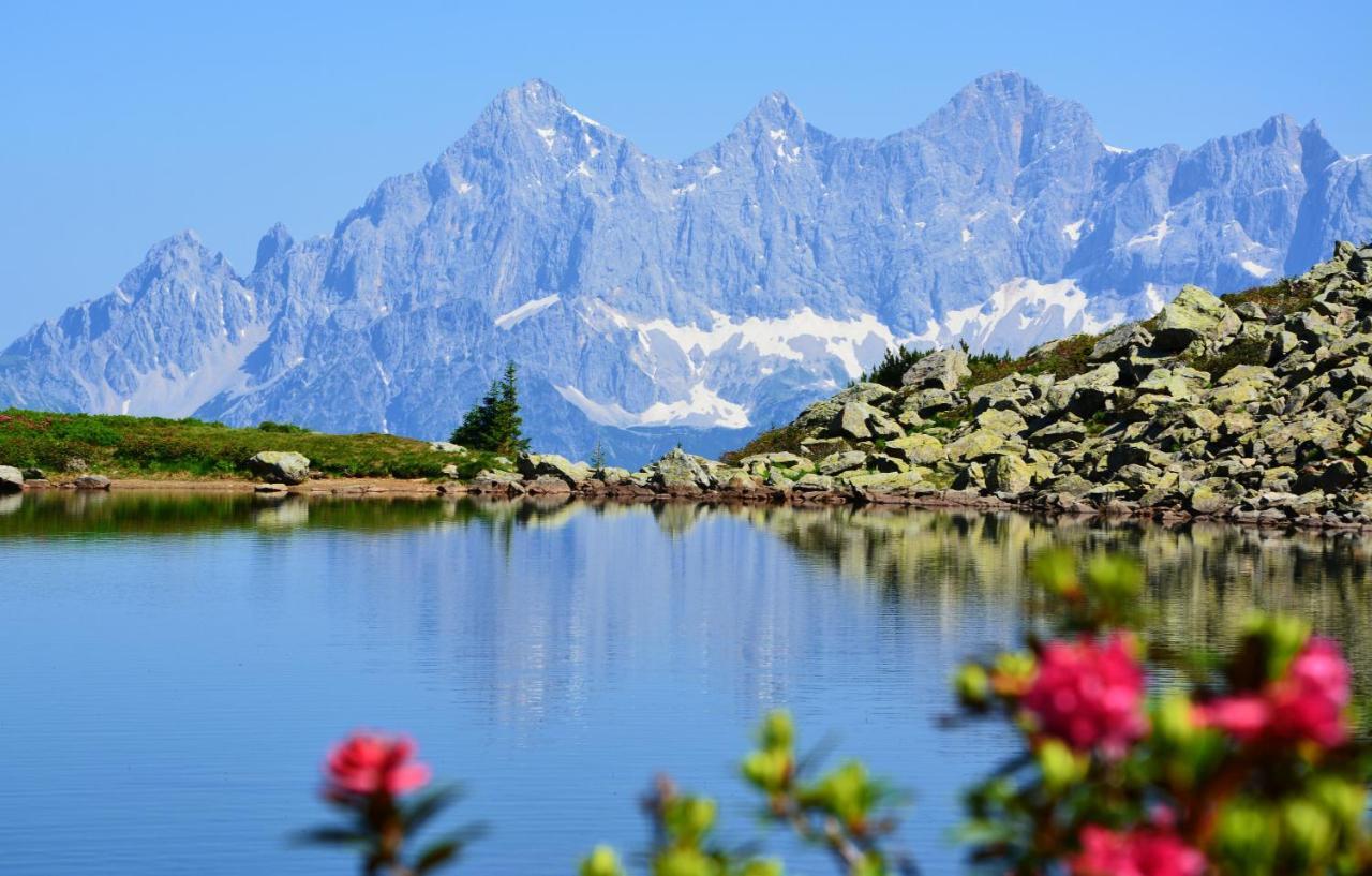 Rohrmooser Schloessl Schladming Buitenkant foto